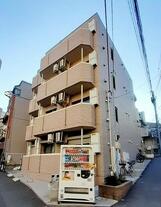 エバーグリーン