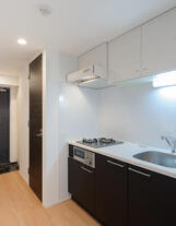 スカイコートパレス池袋