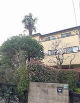 グリーンオアシス